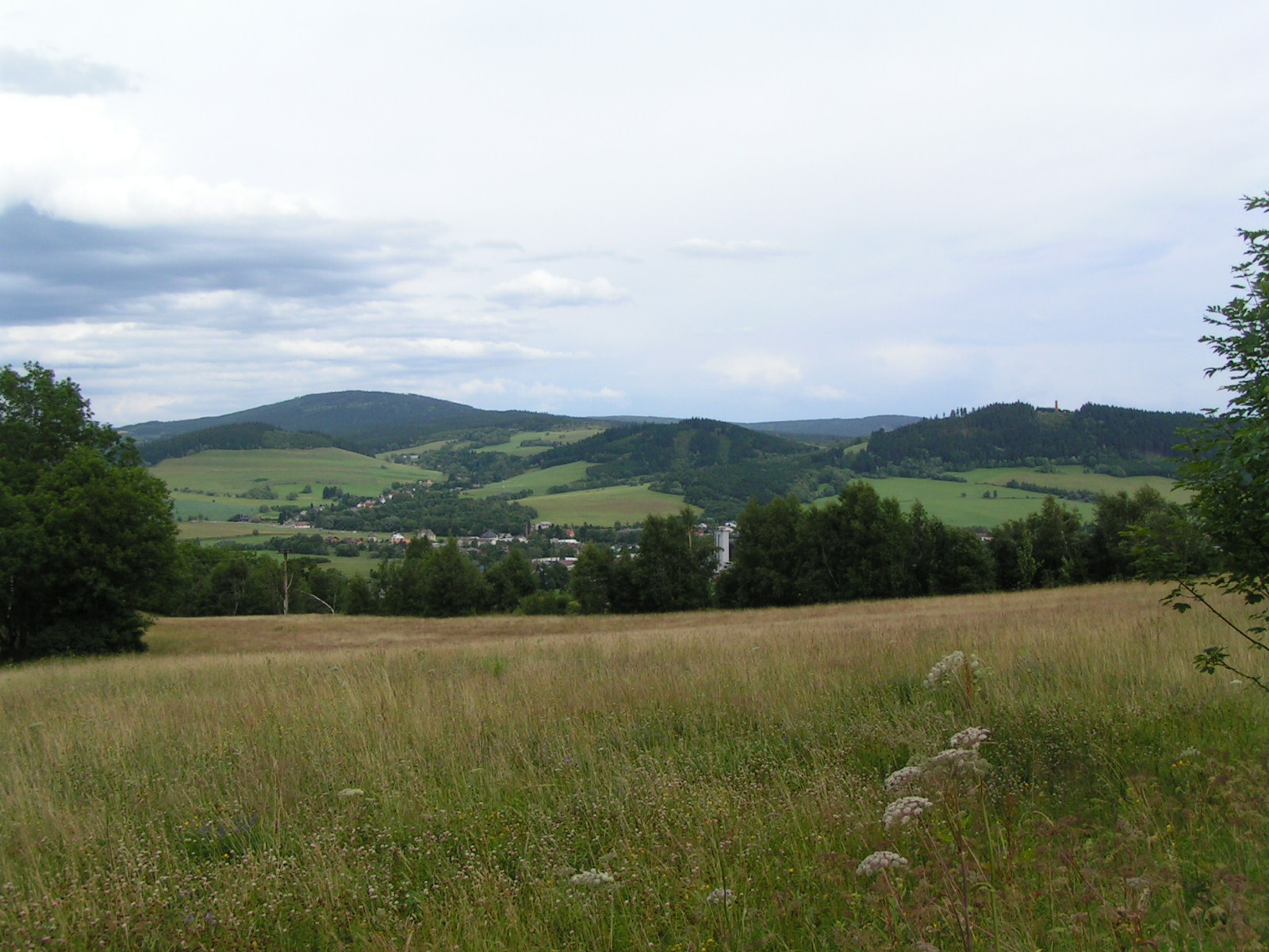 PICT0219