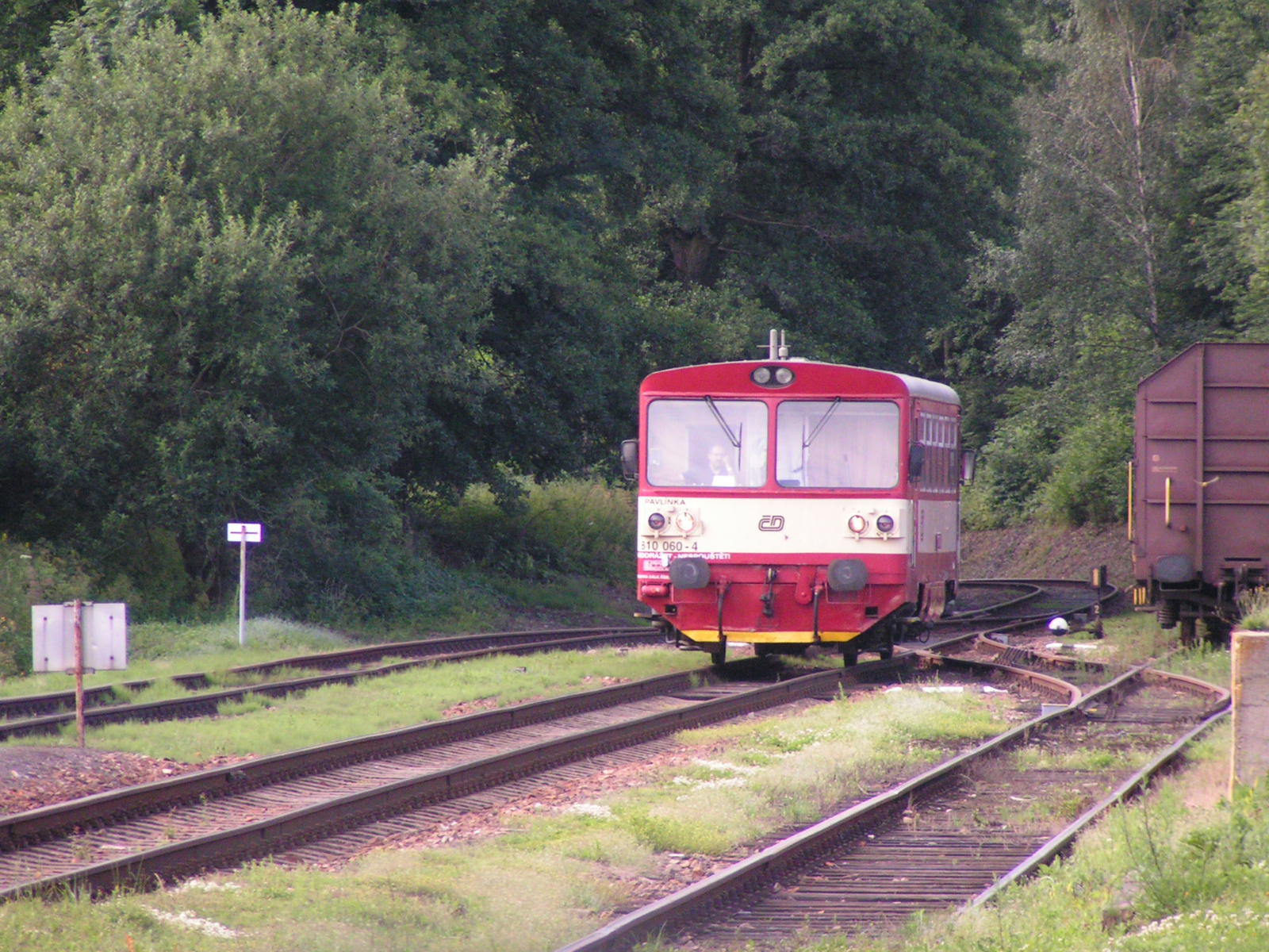 PICT0230