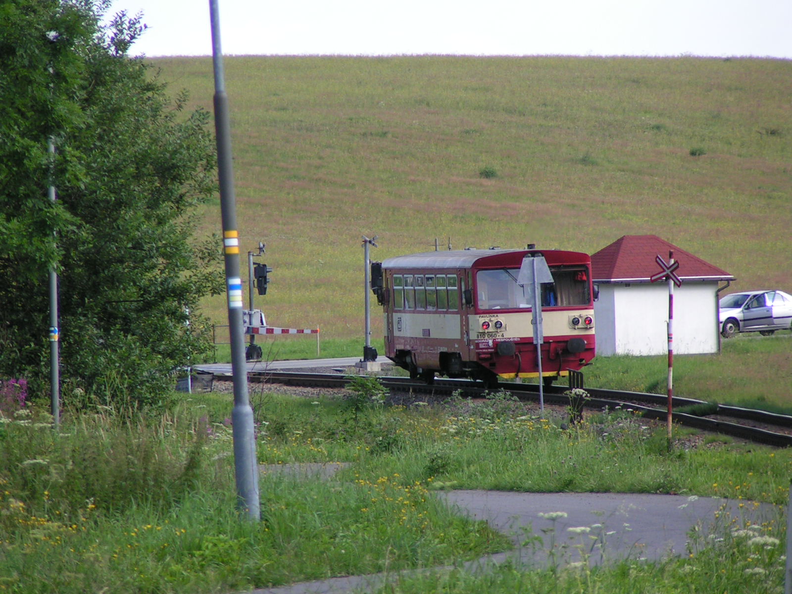 PICT0239